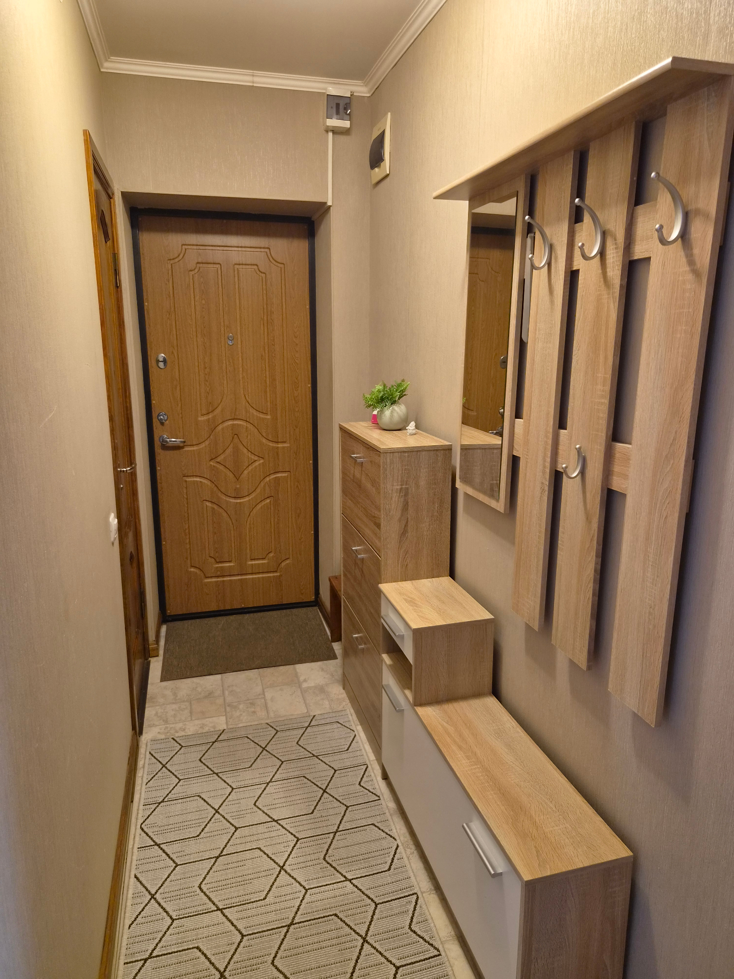 Hallway with entrance door